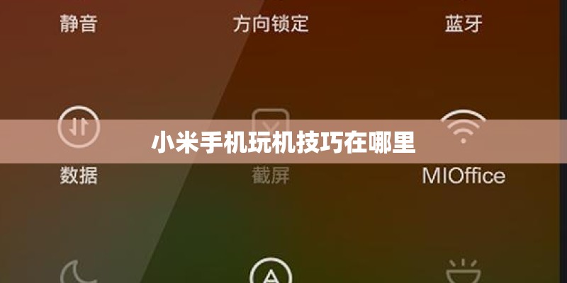小米手机玩机技巧在哪里