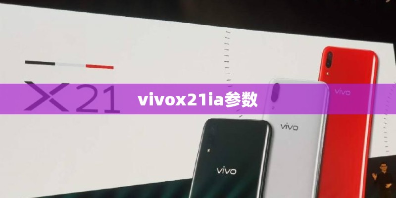 vivox21ia参数