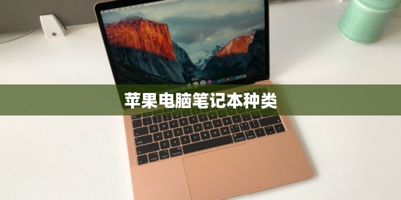 苹果电脑笔记本种类