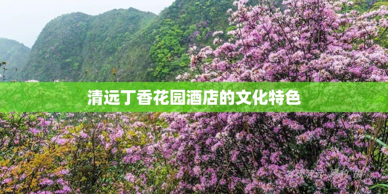 清远丁香花园酒店的文化特色
