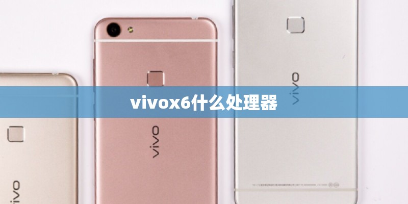 vivox6什么处理器