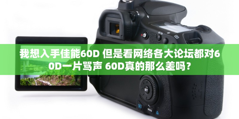 我想入手佳能60D 但是看网络各大论坛都对60D一片骂声 60D真的那么差吗？