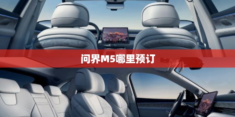 问界M5哪里预订