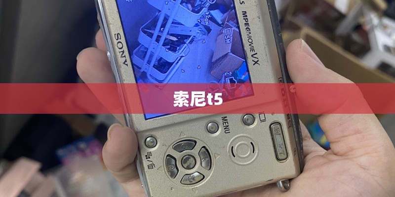 索尼t5