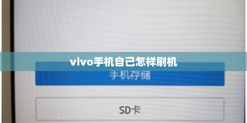 vivo手机自己怎样刷机