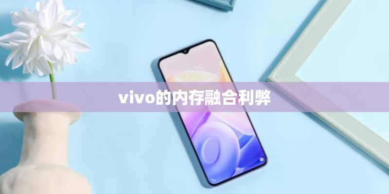 vivo的内存融合利弊
