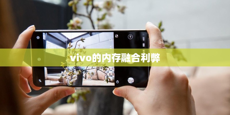 vivo的内存融合利弊