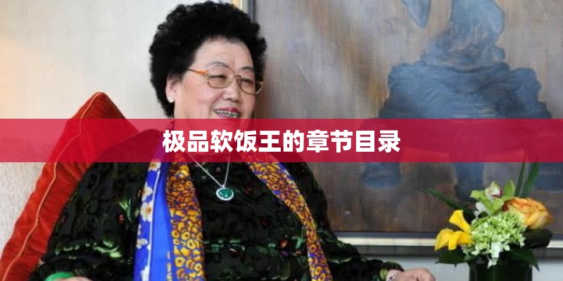 极品软饭王的章节目录