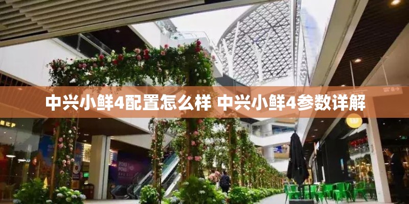 江苏南京用什么手机卡适合大学生用-(NOKIA的)