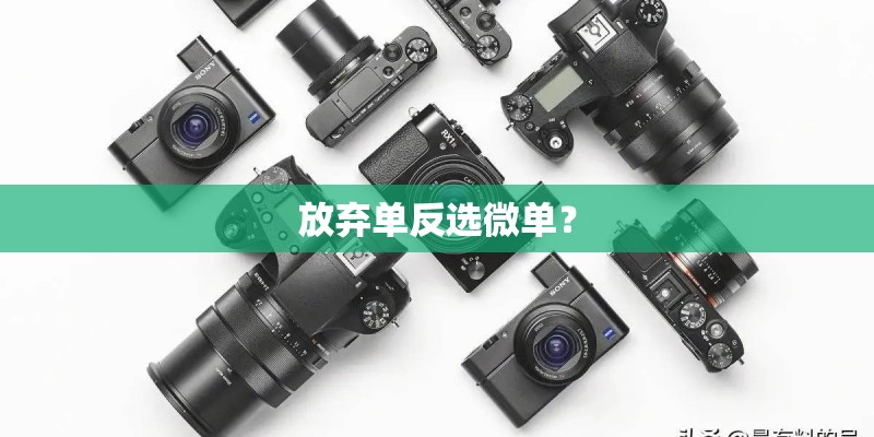 坚果Pro 2纯白色版和普通版有哪些区别