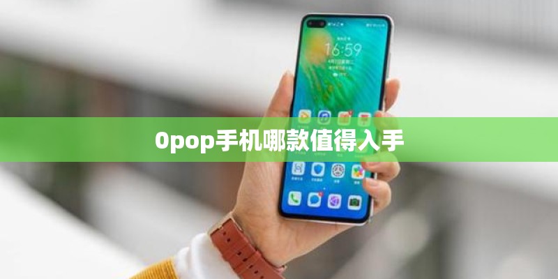 坚果Pro 2纯白色版和普通版有哪些区别