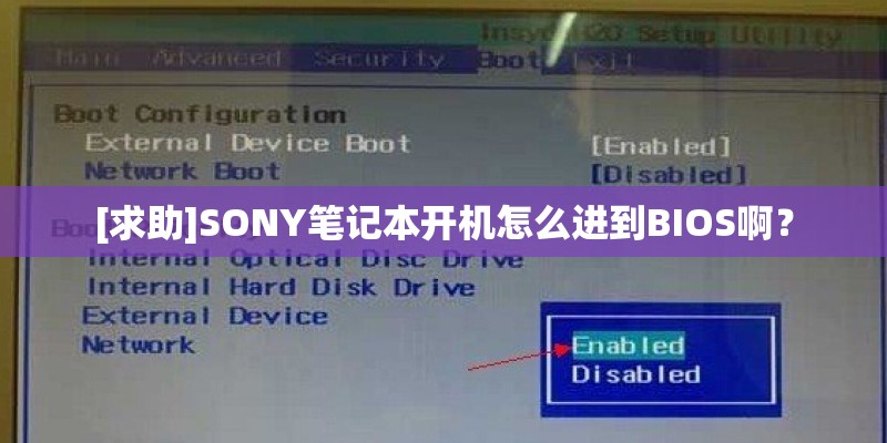 [求助]SONY笔记本开机怎么进到BIOS啊？