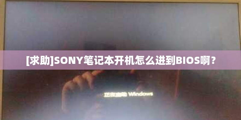 [求助]SONY笔记本开机怎么进到BIOS啊？